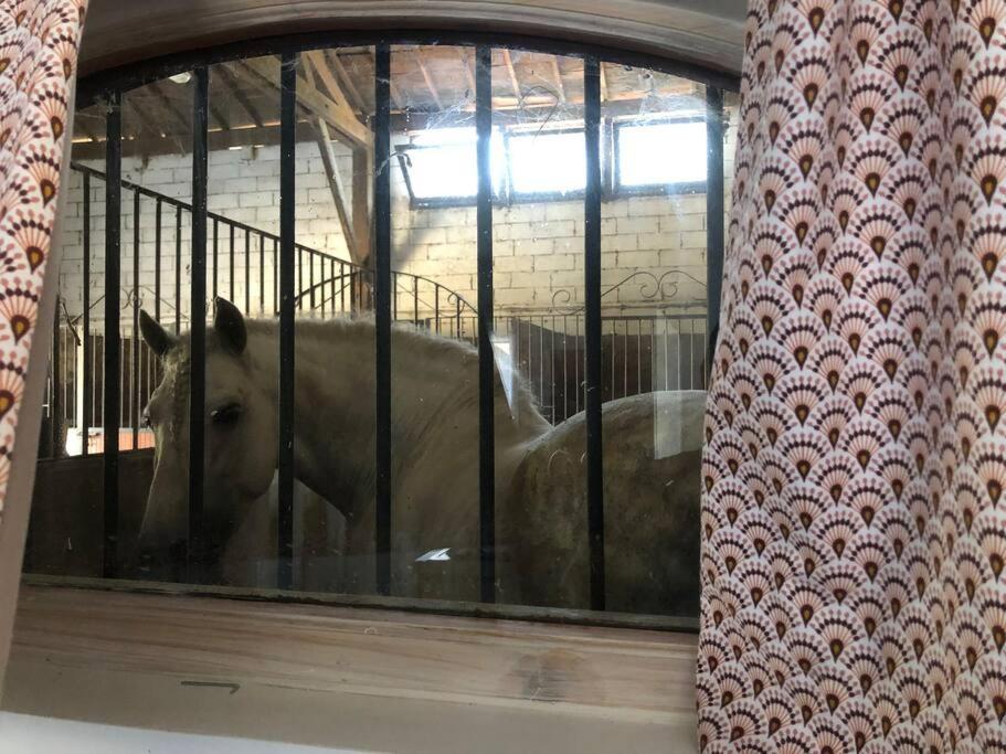 ארל Logement Insolite Au Coeur D'Une Ecurie מראה חיצוני תמונה